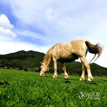 泸沽湖祖母家园住宿酒店提供图片