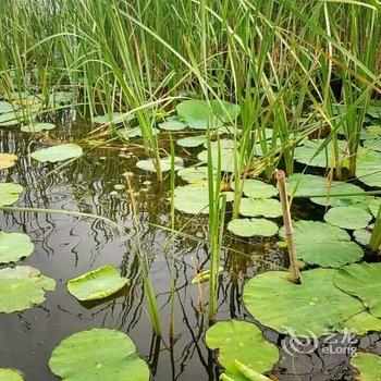 白洋淀王家寨水乡民俗村9号院酒店提供图片