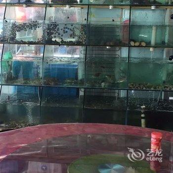 苍南望海湾渔家乐酒店提供图片