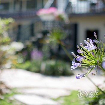 丽江蔷薇花园客栈酒店提供图片