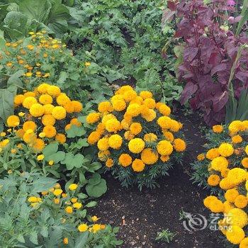 额尔古纳恩和嘎列旅游之家酒店提供图片