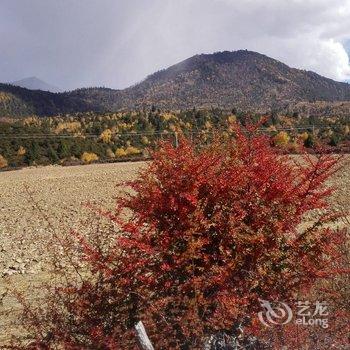 林芝川藏线标间旅社酒店提供图片