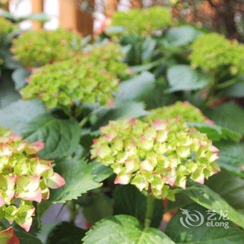 雁荡山仙雁栖居酒店提供图片