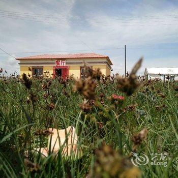 青海湖鸟岛度假村酒店提供图片