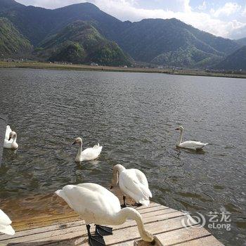 神农架大九湖君悦山庄酒店提供图片