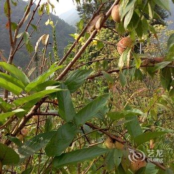 海螺沟桃园温泉徐家客栈酒店提供图片