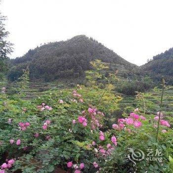 重庆黑山林居酒店提供图片