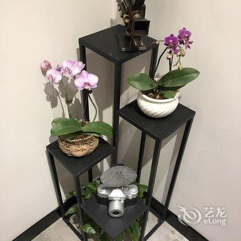 惠州花影创意客栈酒店提供图片