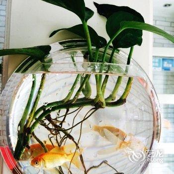 凤凰客随己便客栈酒店提供图片