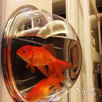 凤凰客随己便客栈酒店提供图片