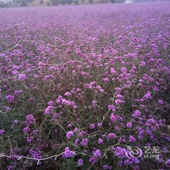 天津祥和人家农家院酒店提供图片