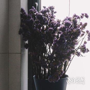 广州Magic Place民宿酒店提供图片