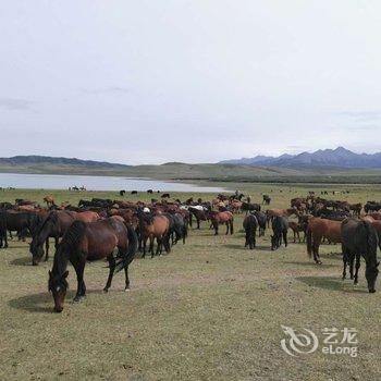 张掖丹马四海度假酒店酒店提供图片