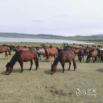 张掖丹马四海度假酒店酒店提供图片