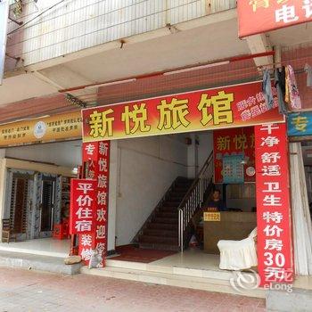 清远清新新悦旅店