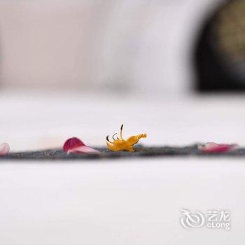 武隆途涂客栈酒店提供图片