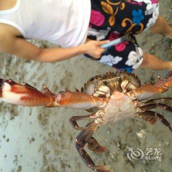 湛江硇洲岛海岛渔家乐酒店提供图片