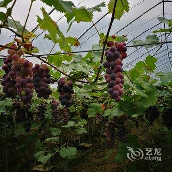 临安芦山潮宿民宿酒店提供图片