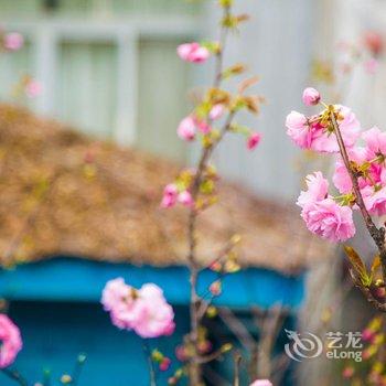 崇州街子古镇喜悦酒店·时间开的花酒店提供图片