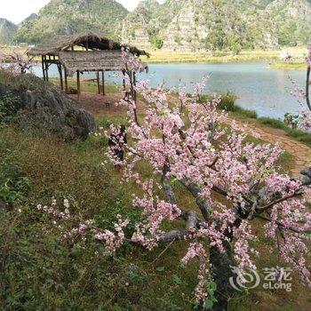 丘北山水闲庭客栈酒店提供图片