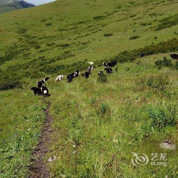 茂县松坪沟丽景轩酒店酒店提供图片