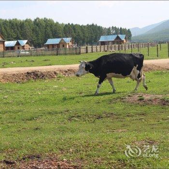 额尔古纳锦绣山庄酒店提供图片