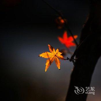 莫干山天真乐元静心酒店(原天真乐元度假酒店)酒店提供图片