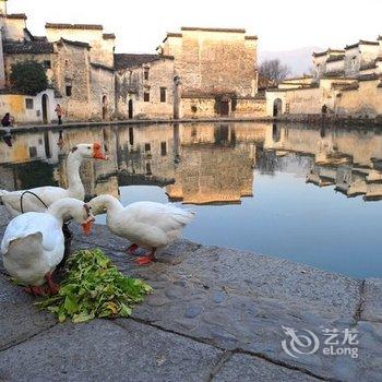 黄山宏村后街九号酒店提供图片