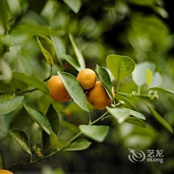 花筑悦·平遥德惟一精品客栈酒店提供图片