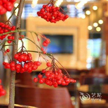 江门柏丽宜居酒店(新会店)酒店提供图片