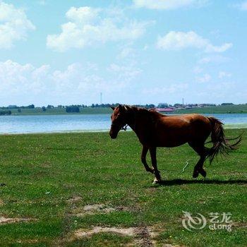 沽源天鹅湖农家院酒店提供图片