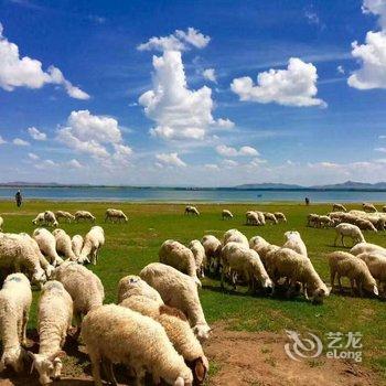 沽源天鹅湖农家院酒店提供图片