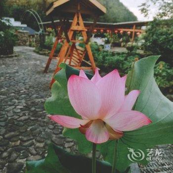 建德秀云家庭农场民宿酒店提供图片