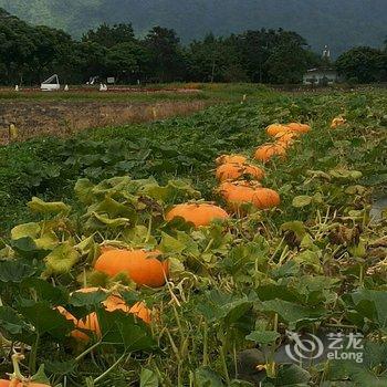 花莲新光兆丰休闲农场酒店提供图片