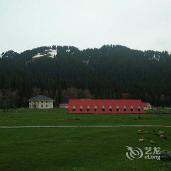 尼勒克县唐不拉风景区塔斯度假村酒店提供图片