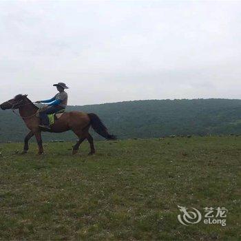 沽源坝上草原天鹅湖刘家大院客栈酒店提供图片