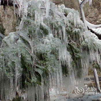 雁荡山龙湫民宿酒店提供图片