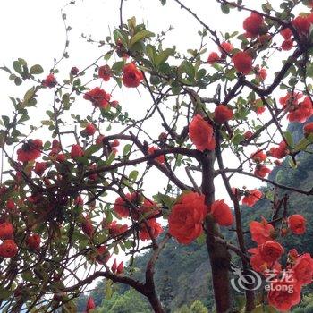 雁荡山龙湫民宿酒店提供图片