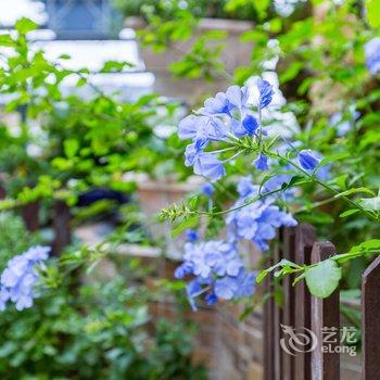 都江堰青城有家公寓酒店提供图片