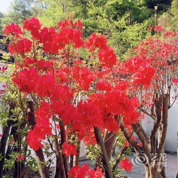 绩溪龙辰山庄酒店提供图片