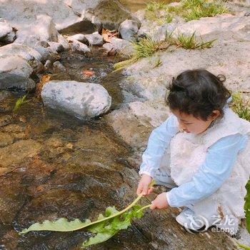 千岛湖茂山·青田野酒店提供图片