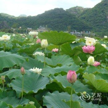 普者黑香泉一家客栈酒店提供图片