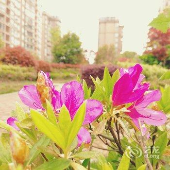 上海哲庐民宿(川周路)酒店提供图片