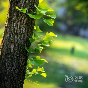 君澜·绍兴鉴湖大酒店酒店提供图片