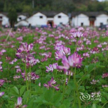 丽水畲歌嘹亮精品民宿酒店提供图片