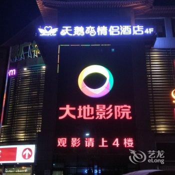 开封天鹅恋情侣主题酒店酒店提供图片