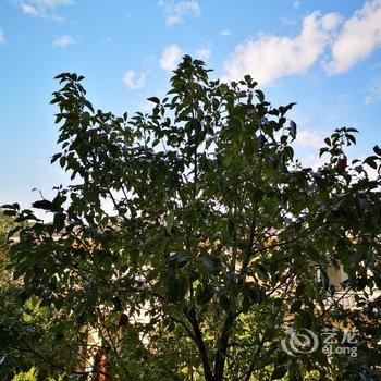 清远乡遇故知民宿(2号店)酒店提供图片