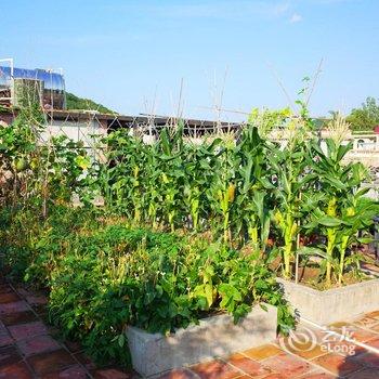 深圳东里3加1Fellow挚友客栈