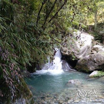 神农架途客·家坪上雅居公寓酒店提供图片