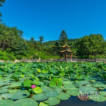 丹东轶程温馨家园公寓酒店提供图片